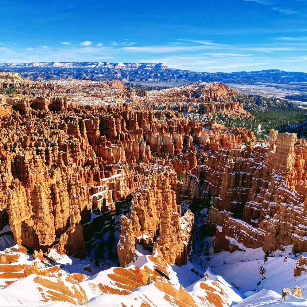 The Drama of Silence