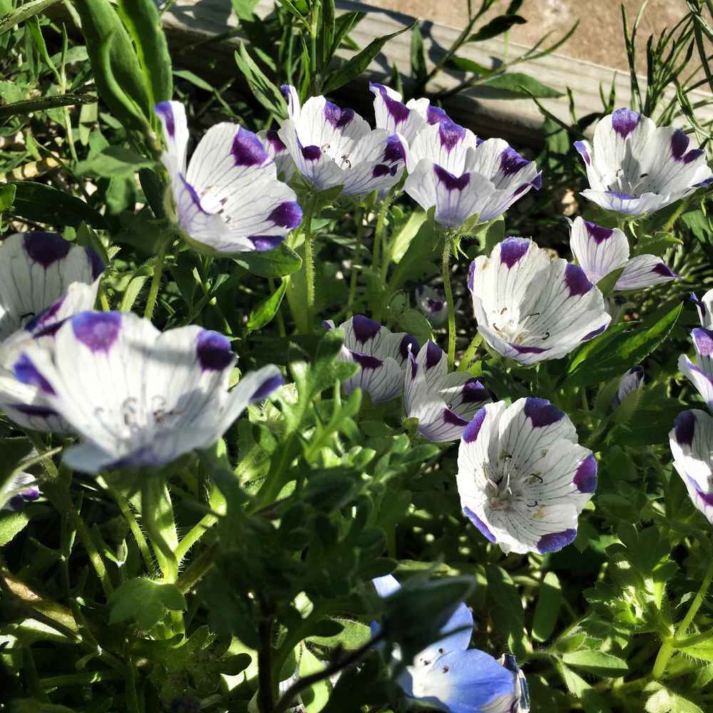 36 Opportunities After COVID-19