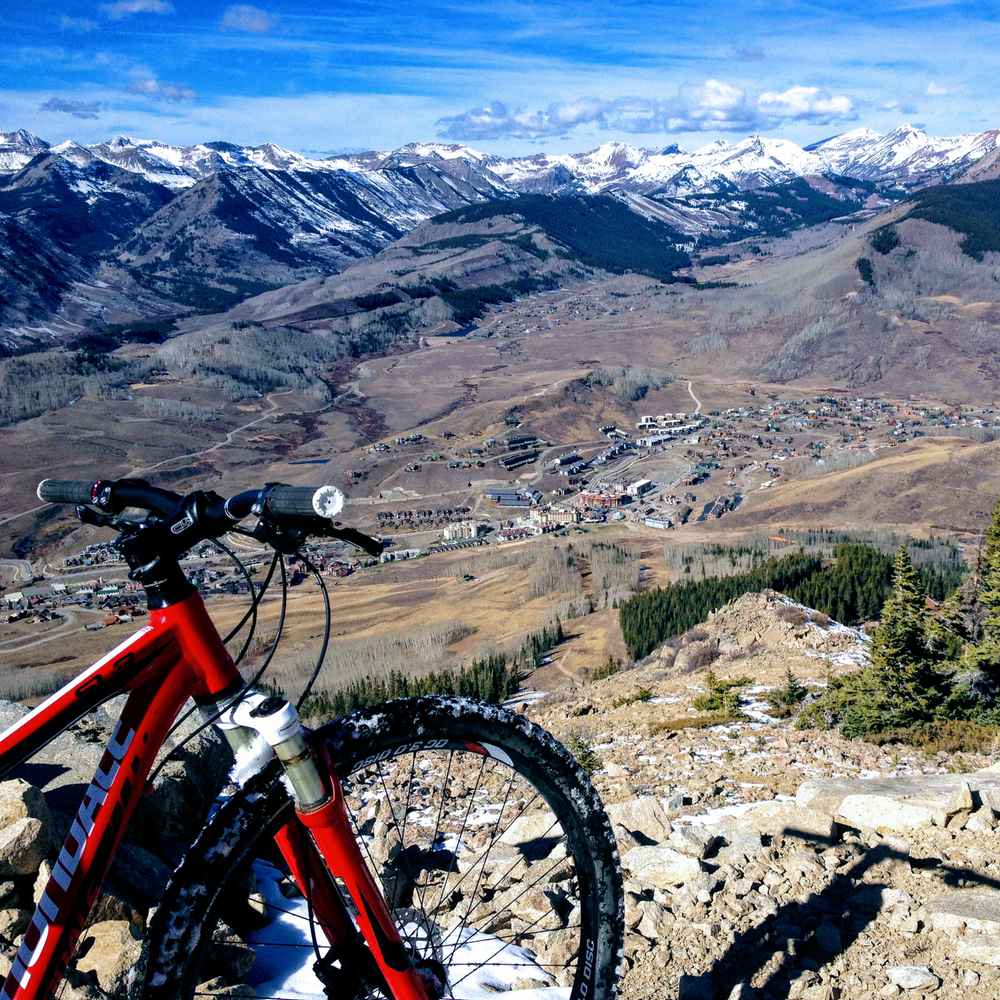 Examining Perception