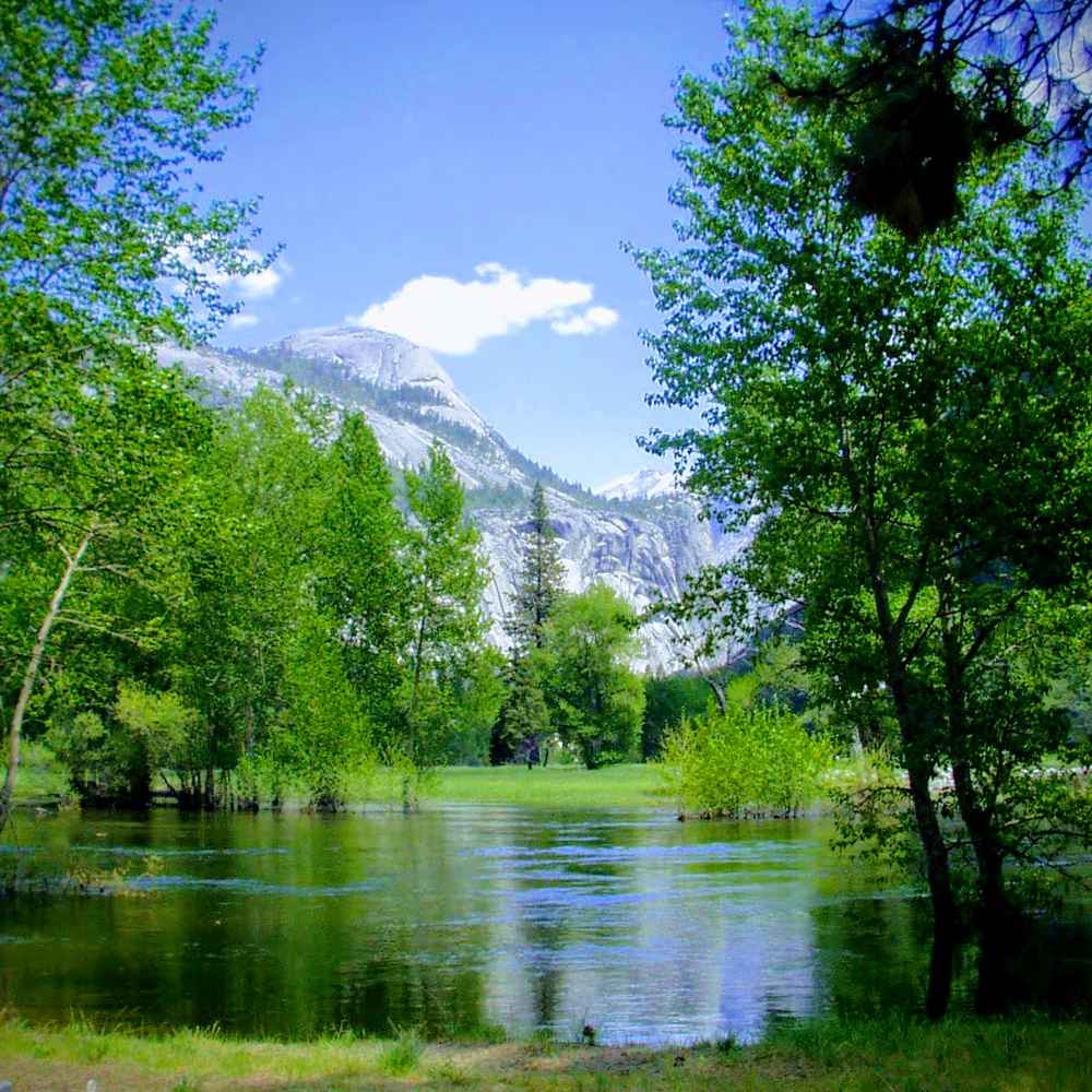 The Side Effects of Stagnant Language